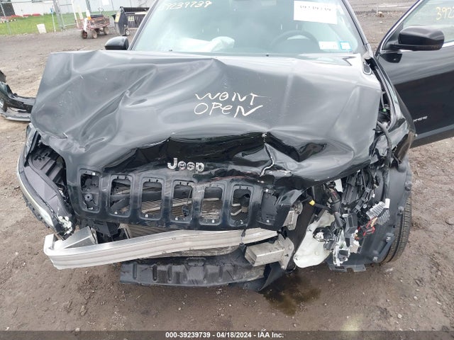 Jeep Cherokee Limited 4x4 2019 1C4PJMDX4KD386847 Image 10