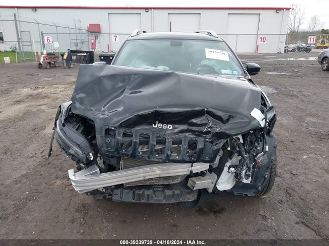 Jeep Cherokee Limited 4x4 2019 1C4PJMDX4KD386847 Image 13