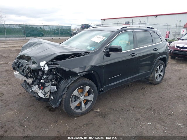 Jeep Cherokee Limited 4x4 2019 1C4PJMDX4KD386847 Image 2
