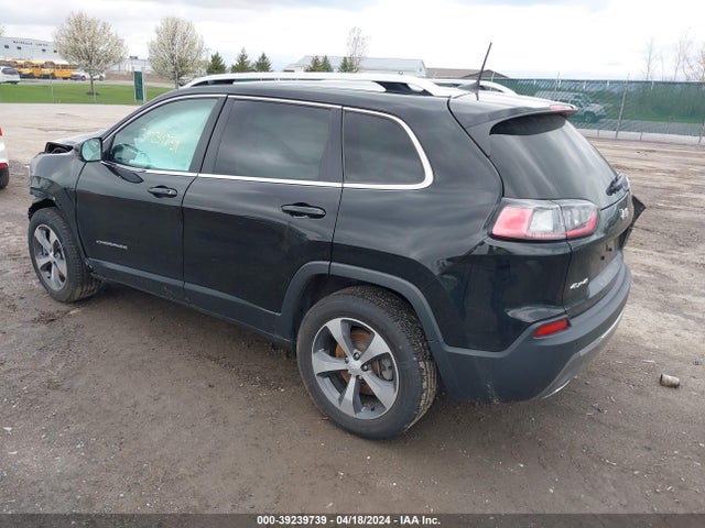 Jeep Cherokee Limited 4x4 2019 1C4PJMDX4KD386847 Image 3