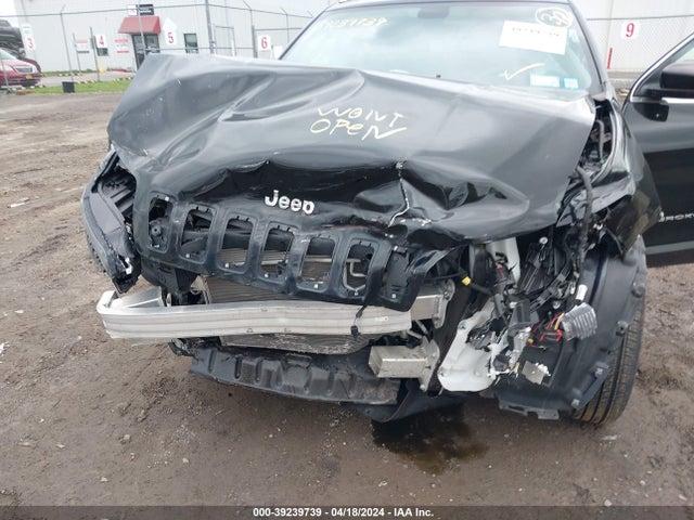 Jeep Cherokee Limited 4x4 2019 1C4PJMDX4KD386847 Image 6