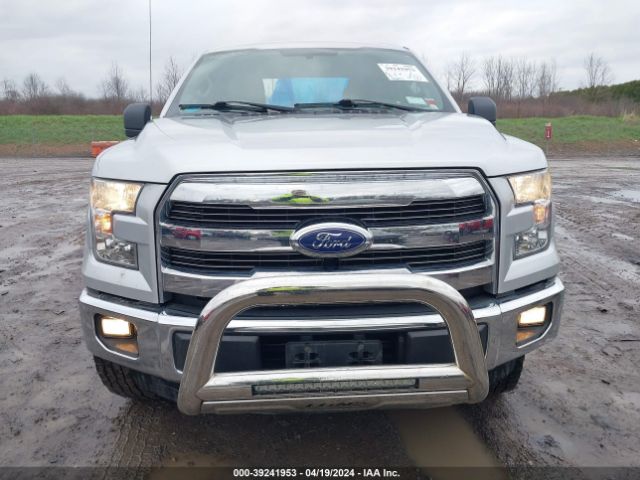 1FTEX1EP7FFB42493 Ford F-150 Xl