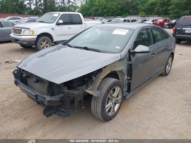 Hyundai Sonata Sport 2019 5NPE34AF1KH741870 Image 2