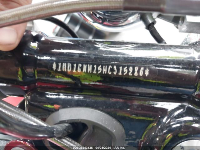 2017 HARLEY-DAVIDSON FXDL 1HD1GNM15HC315286 Photo 9