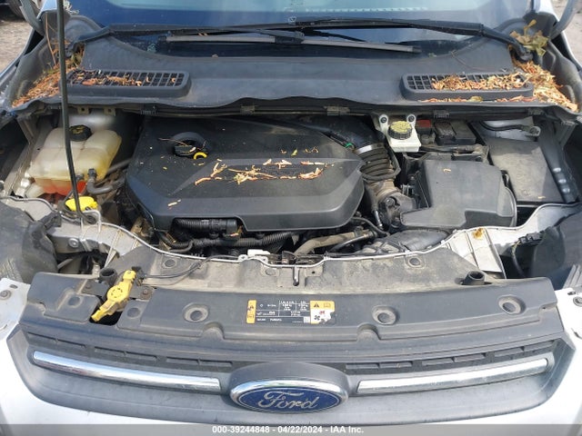 Ford ESCAPE SE 2014 1FMCU0GX4EUD76331 Image 10