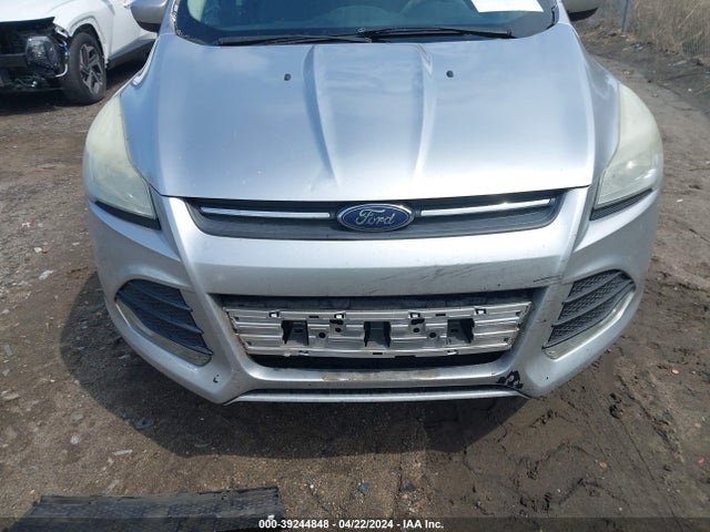 Ford ESCAPE SE 2014 1FMCU0GX4EUD76331 Image 6