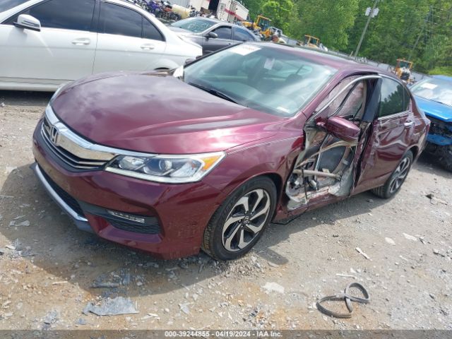 1HGCR3F88GA009326 Honda Accord Ex-l V-6