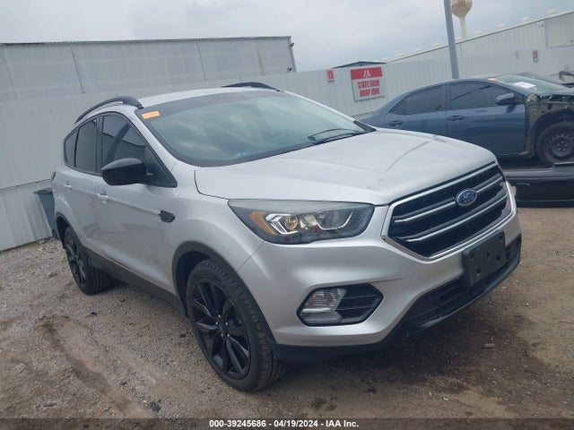 2019 1FMCU0GD0KUB10032 главное изображение