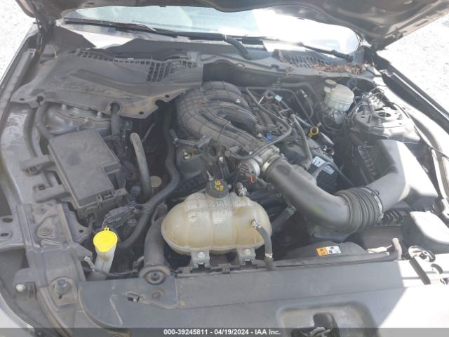 1FA6P8AM6H5280484 Ford Mustang V6