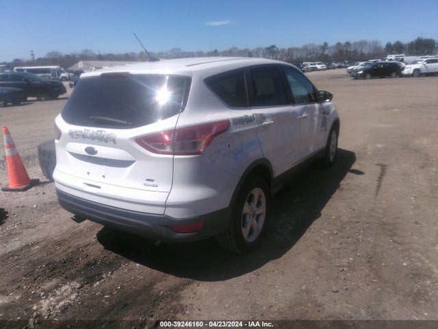 Ford ESCAPE SE 2014 1FMCU9GX5EUD38014 Image 4