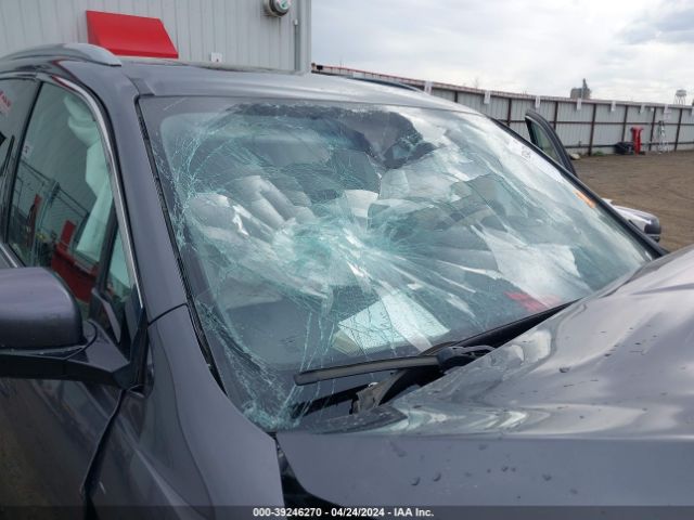 5FNYF6H0XJB037679 Honda Pilot Elite