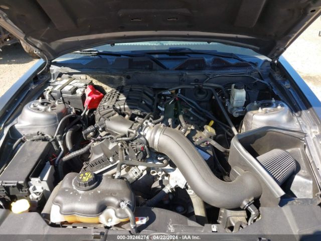 1ZVBP8AM0E5255078 Ford Mustang V6