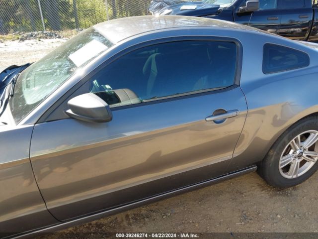 1ZVBP8AM0E5255078 Ford Mustang V6