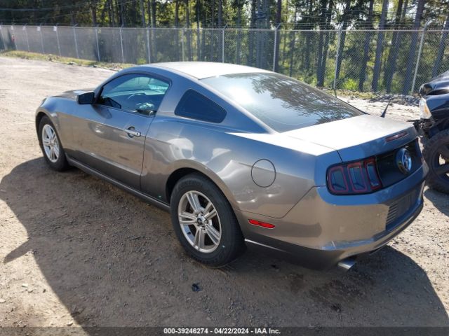 1ZVBP8AM0E5255078 Ford Mustang V6