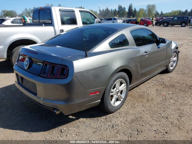 1ZVBP8AM0E5255078 Ford Mustang V6