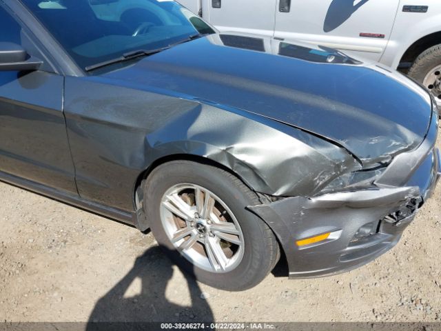 1ZVBP8AM0E5255078 Ford Mustang V6