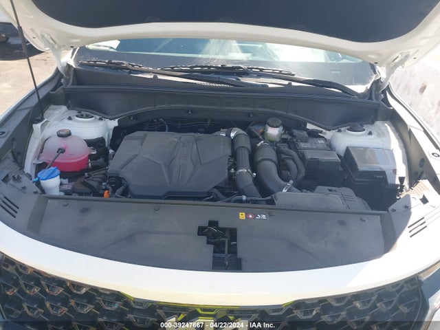KIA SORENTO SX 2023 5XYRKDLF5PG246054 Image 10