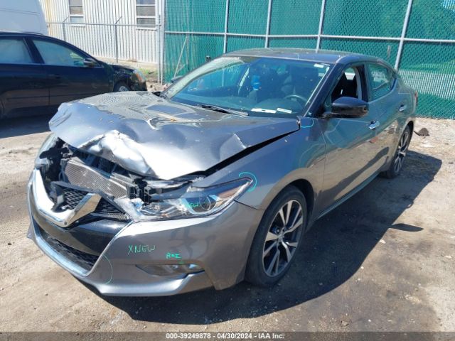 1N4AA6AP1GC445295 Nissan Maxima 3.5 Platinum/3.5 S/3.5 Sl/3.5 Sr/3.5 Sv