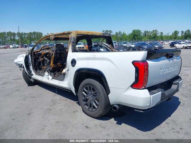Toyota Tundra Platinum 2023 5TFNA5AB2PX028626 Image 3
