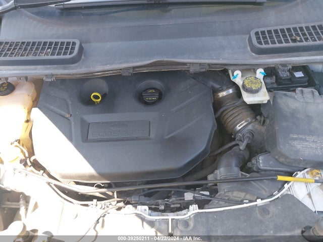 Ford ESCAPE SE 2014 1FMCU9G91EUC91906 Image 10