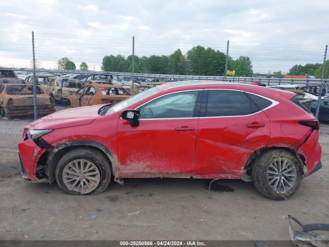2T2GGCEZ5PC023711 Lexus Nx 350 Premium