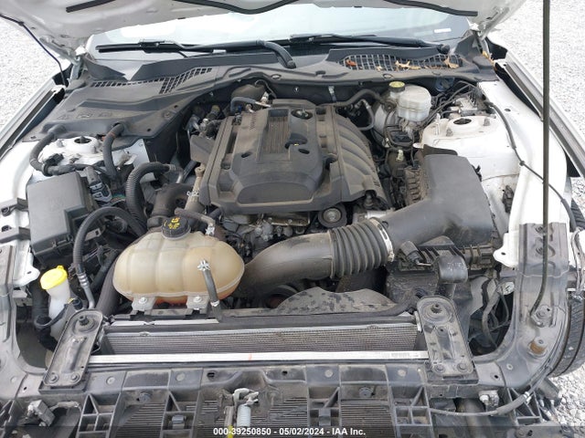 Ford Mustang Ecoboost 2019 1FA6P8TH9K5161884 Image 10