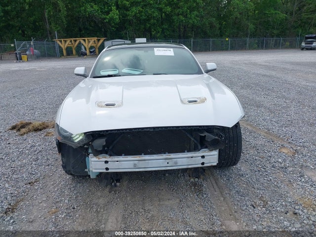 Ford Mustang Ecoboost 2019 1FA6P8TH9K5161884 Image 12
