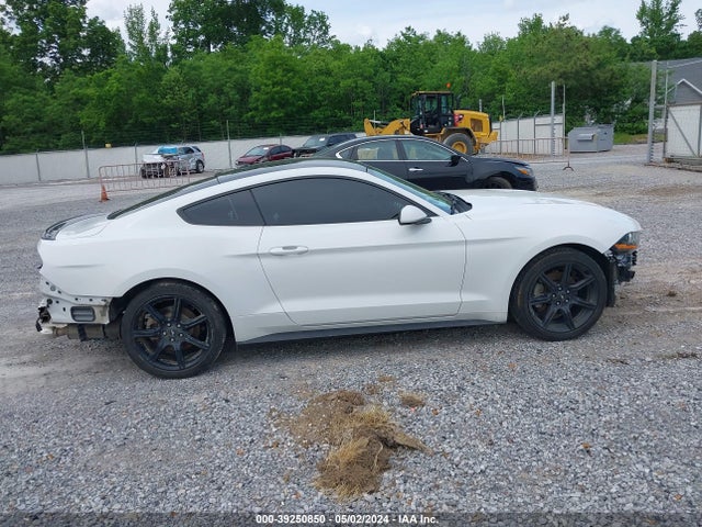 Ford Mustang Ecoboost 2019 1FA6P8TH9K5161884 Image 13