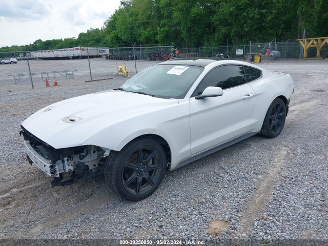 Ford Mustang Ecoboost 2019 1FA6P8TH9K5161884 Image 2