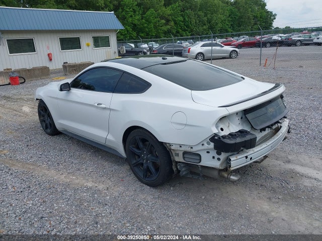 Ford Mustang Ecoboost 2019 1FA6P8TH9K5161884 Image 3