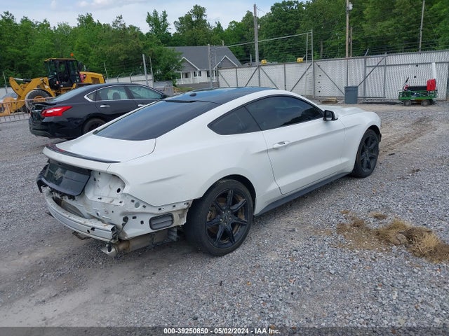 Ford Mustang Ecoboost 2019 1FA6P8TH9K5161884 Image 4