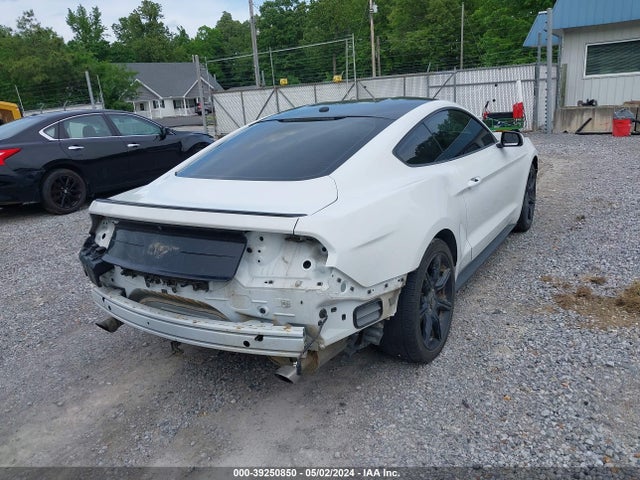 Ford Mustang Ecoboost 2019 1FA6P8TH9K5161884 Image 6