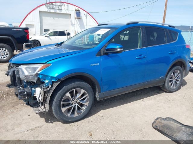 JTMRJREV2GD056666 Toyota Rav4 Hybrid Xle