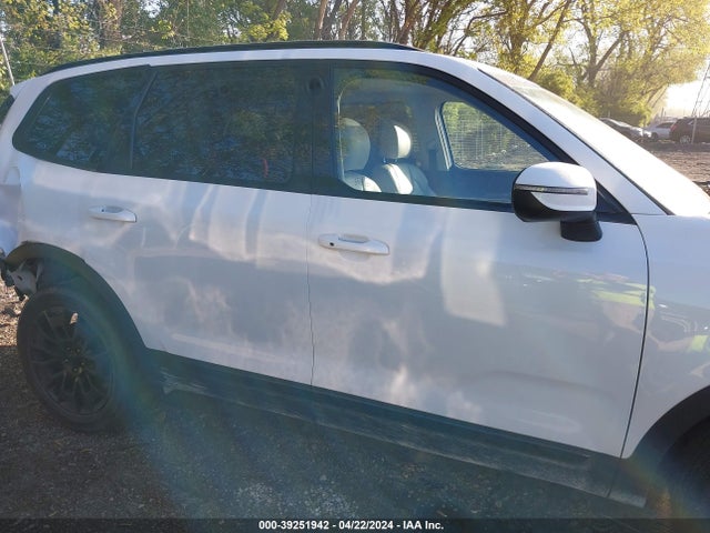 KIA Telluride Ex 2021 5XYP3DHC7MG100009 Image 13