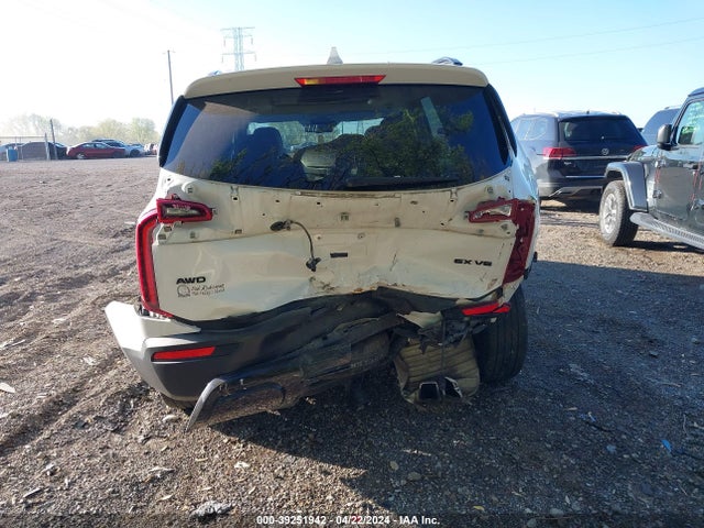 KIA Telluride Ex 2021 5XYP3DHC7MG100009 Image 6
