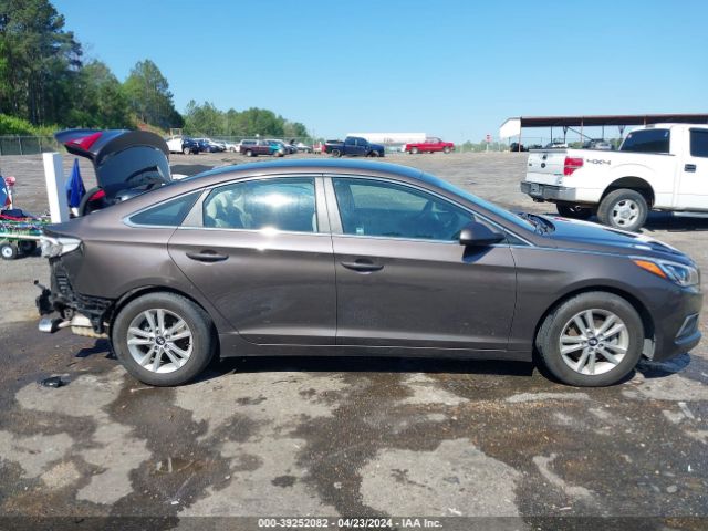 5NPE24AF8HH557201 Hyundai SONATA SE
