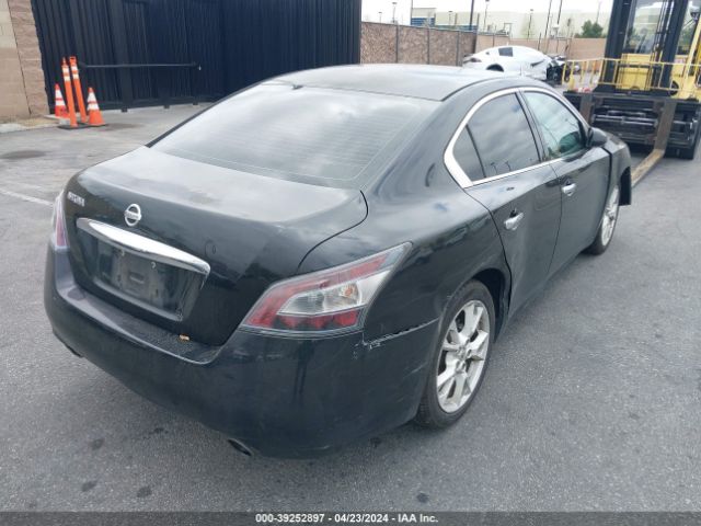 1N4AA5AP4EC485605 Nissan Maxima 3.5 S/3.5 Sv