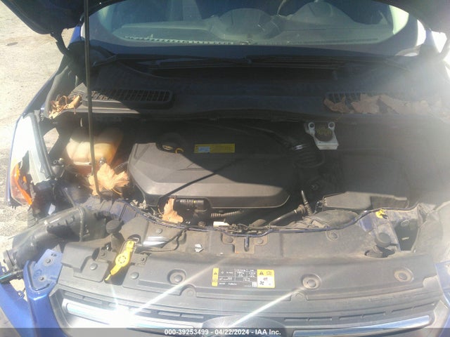 Ford ESCAPE SE 2014 1FMCU0GX5EUD26134 Image 10