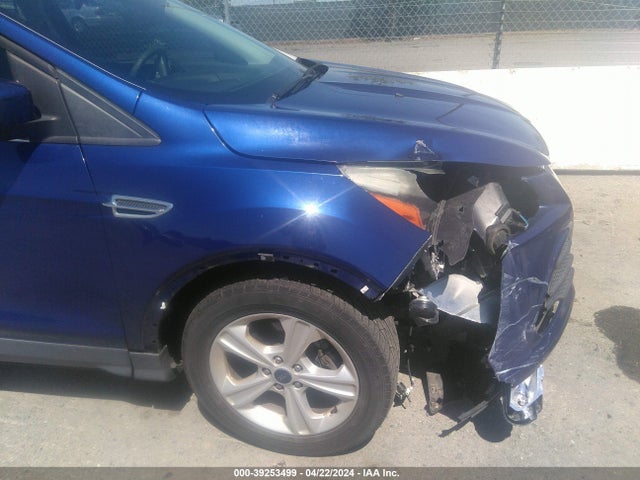 Ford ESCAPE SE 2014 1FMCU0GX5EUD26134 Image 6