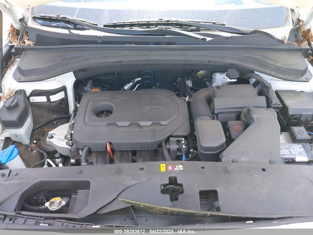 Hyundai Santa Fe Limited 2020 5NMS53AD2LH173987 Image 10