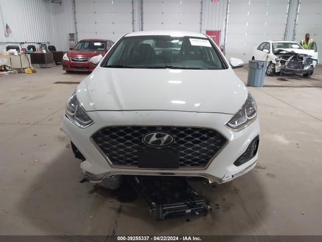 Hyundai SONATA SEL 2019 5NPE34AF8KH771187 Image 13