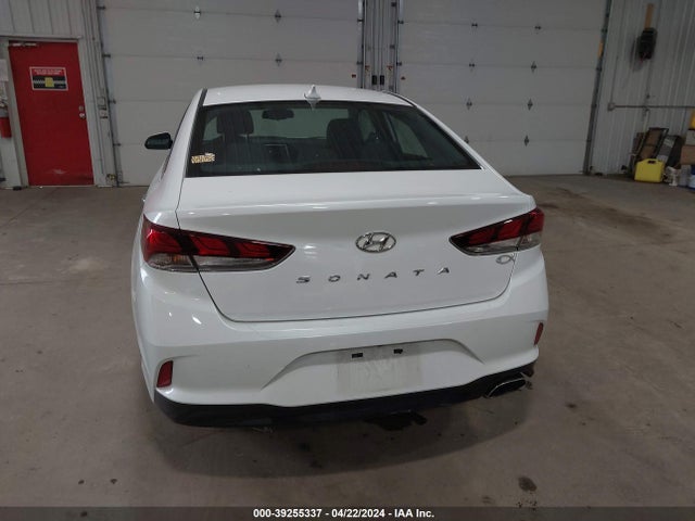 Hyundai SONATA SEL 2019 5NPE34AF8KH771187 Image 17