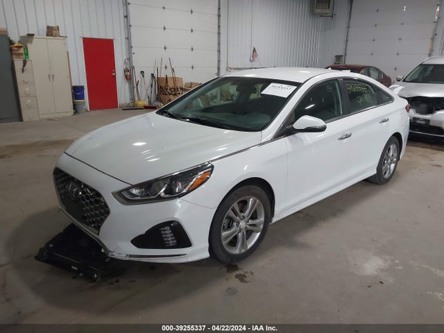 Hyundai SONATA SEL 2019 5NPE34AF8KH771187 Image 2