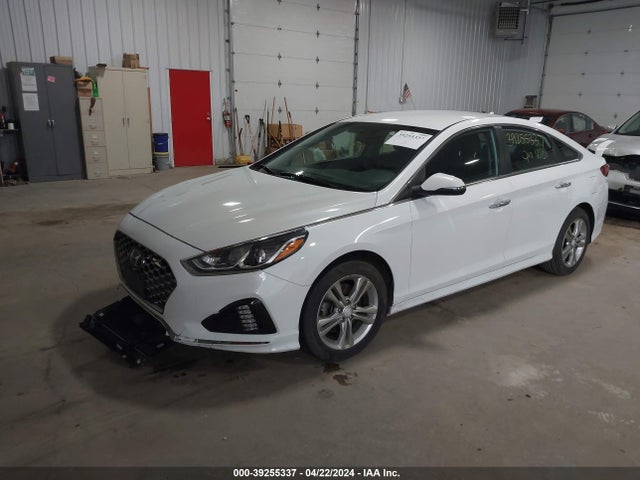 Hyundai SONATA SEL 2019 5NPE34AF8KH771187 Image 6