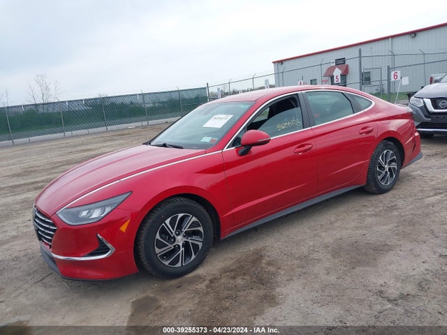 Hyundai Sonata Blue 2021 KMHL24JJ0MA020976 Image 2