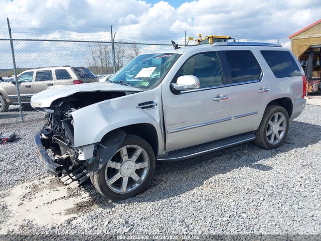 2010 CADILLAC ESCALADE 1GYUKBEF1AR269054 Photo 1