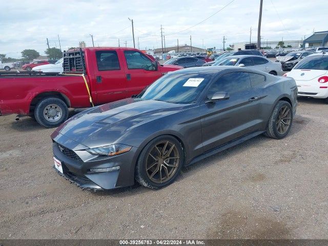 Ford Mustang Ecoboost Fastback 2020 1FA6P8THXL5170000 Image 2