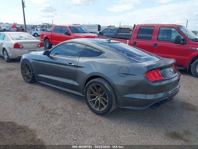 Ford Mustang Ecoboost Fastback 2020 1FA6P8THXL5170000 Image 3