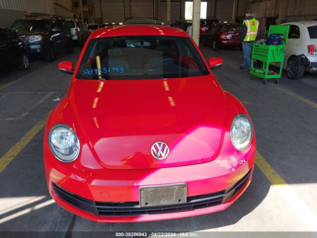 3VWJ17AT8FM603686 Volkswagen Beetle 1.8t