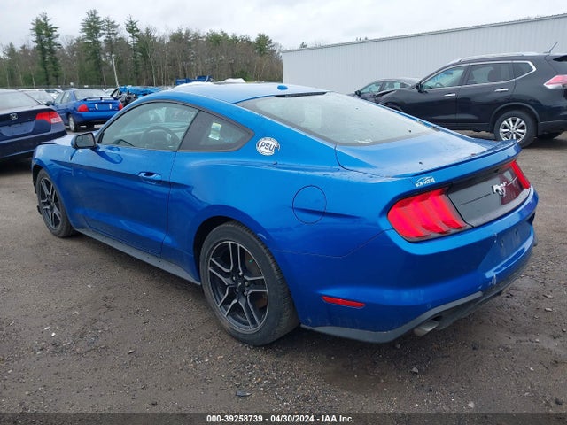 Ford Mustang Ecoboost Fastback 2020 1FA6P8TH6L5133641 Image 3